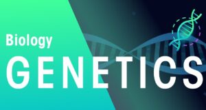 TOPIC 4: GENETICS ~ BIOLOGY FORM 6