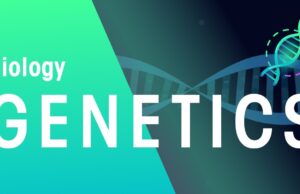 TOPIC 4: GENETICS ~ BIOLOGY FORM 6