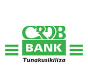 New Job Opportunity at CRDB Bank Business Manager