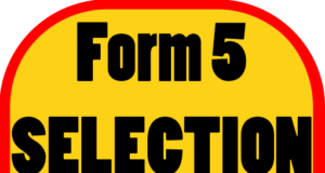 Form Five Selection TAMISEMI 2023