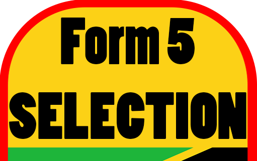 Form Five Selection TAMISEMI 2023