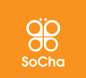 Job Opportunity at SoCha LLC - Chief of Party