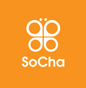 Job Opportunity at SoCha LLC - Chief of Party