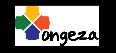 New Job Opportunities 2 at Ongeza Tanzania