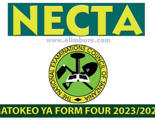 NECTA: Matokeo ya Kidatocha nne 2023/2024 DODOMA| Results of NECTA Form Four Examination (CSEE) 2023/2024