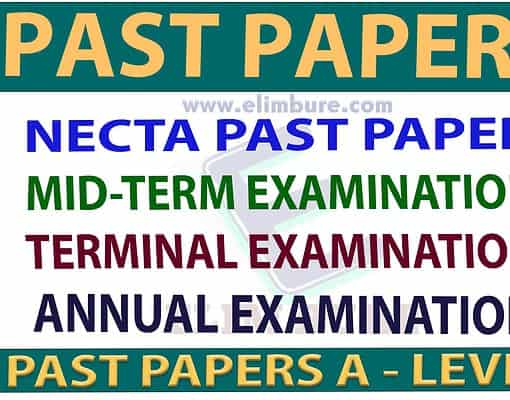 PAST PAPERS ACSEE (MOCK EXAMINATIONS)